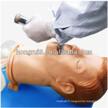 ISO Multi-functional Adult Intubation Training Model, Airway Intubation Model